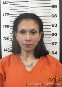 Mugshot of MARY J MONTEZ