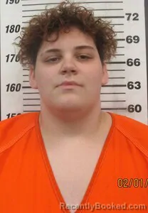 Mugshot of ELIZABETH L SMITH