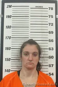 Mugshot of ALICIA M BIDDLE