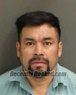 Booking photo from Orange County, Florida