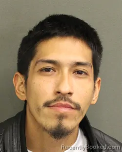 Booking photo from Orange County, Florida