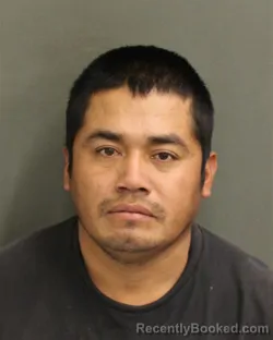 Booking photo from Orange County, Florida