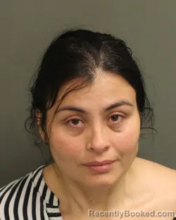 Booking photo from Orange County, Florida