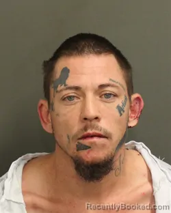 Mugshot of TONYA MARIE ANKNEY