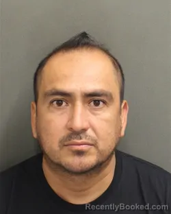 Mugshot of WELFER DELEONRAMIREZ