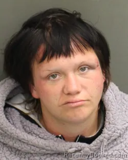 Mugshot of SARA NOELLE BEGENT