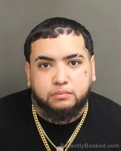 Mugshot of JOVANNY TORRES