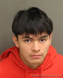 Mugshot of JULIO ELIAS PEREZHERRERA
