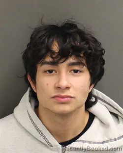 Mugshot of DIEGO ARMANDO ESCALONAPOLANCO
