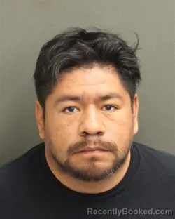 Mugshot of RICARDO RAMIREZSANCHEZ