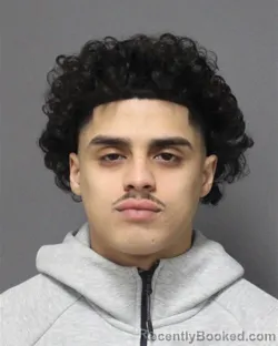 Booking photo from Orange County, Florida