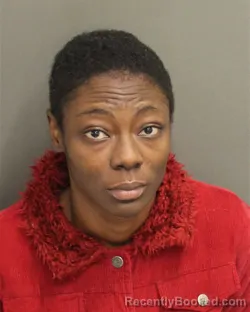 Booking photo from Orange County, Florida