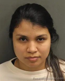 Booking photo from Orange County, Florida