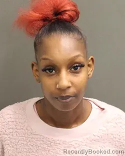 Booking photo from Orange County, Florida