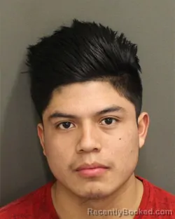 Booking photo from Orange County, Florida