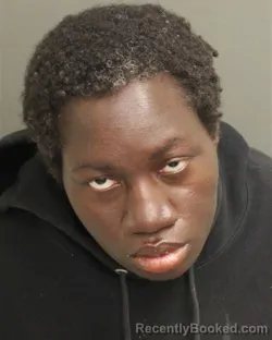 Booking photo from Orange County, Florida