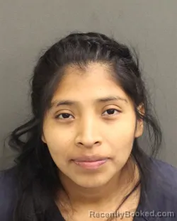 Booking photo from Orange County, Florida