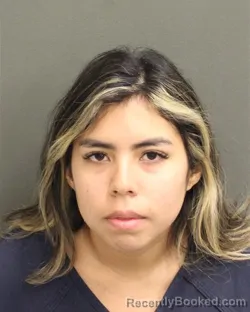 Booking photo from Orange County, Florida