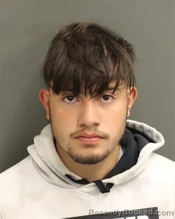 Booking photo from Orange County, Florida