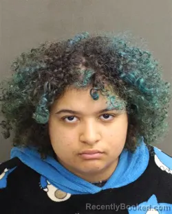 Mugshot of SARIAH PATRICE DIMITRIOWYATT