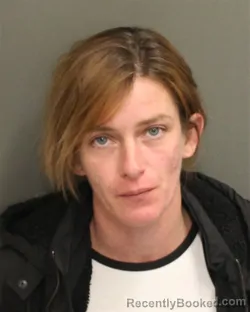 Mugshot of HAILEY CORINNE LIPTAK