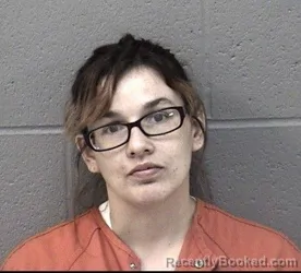 Booking photo from Crawford County, Kansas