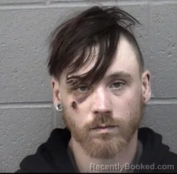 Mugshot of JUSTIN DAVID BROWN