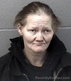 Mugshot of LISA MARIE HUNT