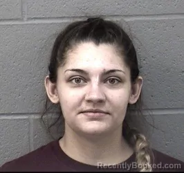 Mugshot of DANIELLE JOLENE ALLEN