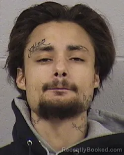 Booking photo from Dickinson County, Kansas