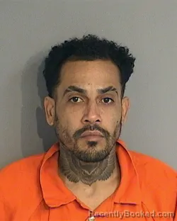 Booking photo from Osceola County, Florida