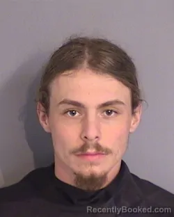 Mugshot of COLIN RYAN HARMON