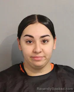 Mugshot of BRIANNA ALVELO