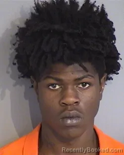 Booking photo from Osceola County, Florida