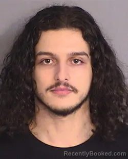 Mugshot of NICHOLAS EFRAIN ROSARIO