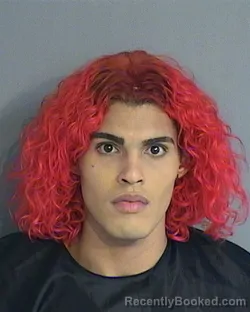 Mugshot of GABRIEL LUIS RUIZ
