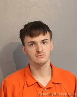 Mugshot of JESSE LEE LARSEN