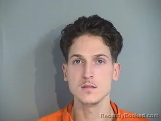 Mugshot of DARIY NICK SKLYAR
