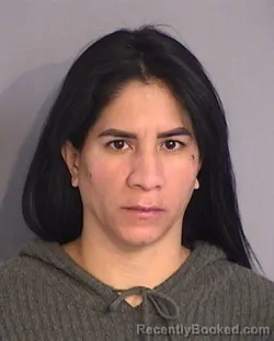 Mugshot of MARIA ALEJANDRA AULAR-FALCON