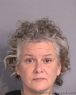 Mugshot of JODI LEE BROWN