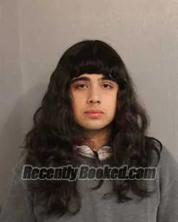 Booking photo from Osceola County, Florida