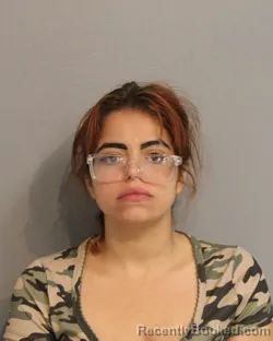 Mugshot of YAMMARIES JANITA RENTA