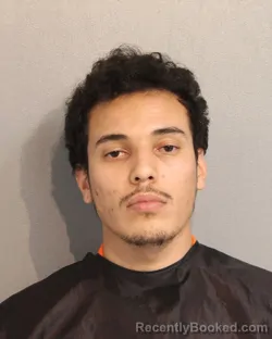 Booking photo from Osceola County, Florida