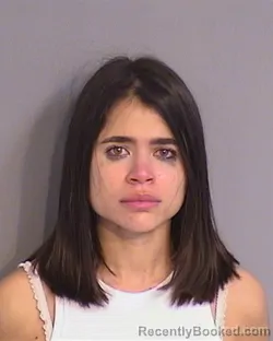 Booking photo from Osceola County, Florida