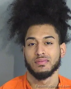 Booking photo from Osceola County, Florida