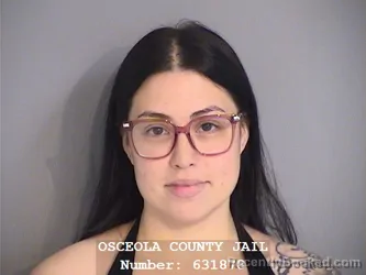 Mugshot of NINOSKA ELIZABETH VENTURA