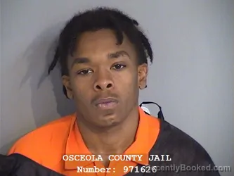 Booking photo from Osceola County, Florida