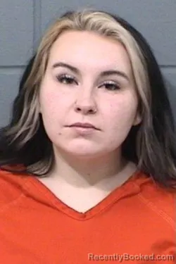 Mugshot of LESLIE HANNAH FISHER