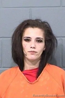 Mugshot of VICTORIA ROSE HUDSON