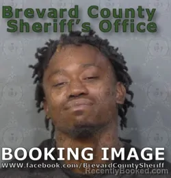 Booking photo from Brevard County, Florida
